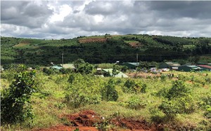 Đắk Nông: Sẽ cưỡng chế 53 trường hợp lấn chiếm hơn 34 ha đất công