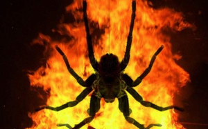 Người đàn ông gây cháy rừng vì cố đốt chết... một con nhện