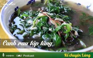 Kể chuyện Podcast: Canh rau tập tàng, món ăn gợi nhớ tuổi thơ làng cũ