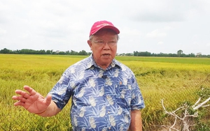 Giữ hay giảm diện tích lúa ĐBSCL: Tăng giá trị hạt gạo để nông dân giàu lên (Bài 5)