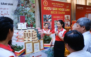 Kon Tum, Quảng Nam tham vọng đưa sâm Ngọc Linh đến thị trường quốc tế