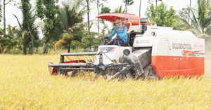 Giữ hay giảm diện tích lúa ĐBSCL (Bài 3): Nhiều tỉnh ĐBSCL ủng hộ chuyển đổi đất lúa, không muốn ôm mãi cây lúa