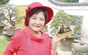 Chuyện lạ mà có thật: Có thể chữa khỏi bệnh nhờ... cây cảnh bonsai?