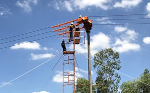 TT- Huế: Dùng giàn giáo cách điện sửa chữa điện nóng để giảm thời gian mất điện 