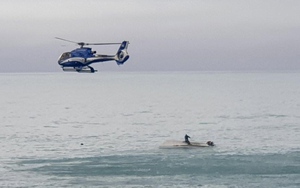 Tai nạn bí hiểm gây sốc tại điểm quan sát cá voi nổi tiếng của New Zealand