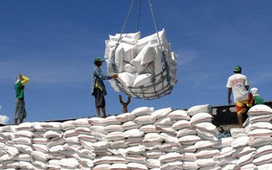 Ấn Độ hạn chế xuất khẩu gạo, cơ hội cho gạo Việt Nam?