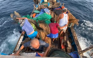 “Làm nhà” cho cá đến ở để đánh bắt, cách làm hay của ngư dân bãi ngang Bình Sơn, Quảng Ngãi