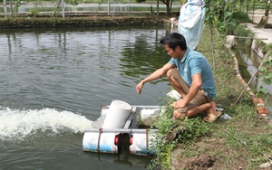 Anh nông dân Thái Nguyên biến máy bơm thành máy sục khí cho ao nuôi cá, cả làng phục tài