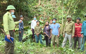 Nông dân vùng biên giới Lai Châu tích cực bảo vệ rừng