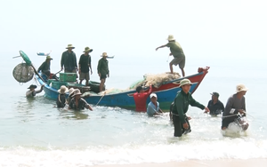 Trúng đậm những mẻ cá đặc sản, ngư dân Quảng Bình ra khơi cả ngày lẫn đêm thu về tiền triệu