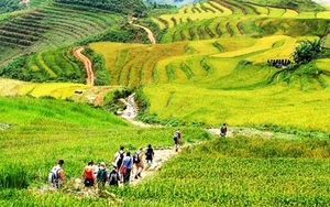 Tạp chí du lịch CNTraveller chọn Việt Nam vào Top những điểm đến tháng 10