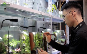 Video: Tiểu cảnh trong bình - thú chơi tao nhã mang cả thiên nhiên thu nhỏ vào chiếc hộp kính