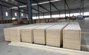 Mỹ lại gia hạn thời gian ban hành kết luận điều tra lẩn tránh thuế chống bán phá giá với gỗ dán cứng Việt Nam