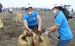 Cán bộ, hội viên, nông dân Nghệ An tham gia nhặt rác bãi biển trong ngày &quot;Cùng hành động để thế giới sạch hơn&quot; 