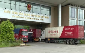 Trên 10.000 tấn trái cây xuất khẩu qua cửa khẩu Lào Cai