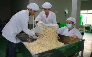Việt Nam đang là nguồn cung không thể thay thế một loại hạt cho Trung Quốc