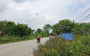 Lào Cai: Gia Phú phấn đấu xây dựng nông thôn mới nâng cao