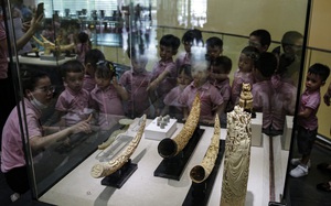 Bảo tàng nghìn tỷ ở Hà Nội bắt đầu thu hút khách sau hơn 10 năm "lỡ hẹn"