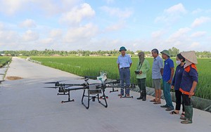 Sử dụng thiết bị bay trong sản xuất nông nghiệp, nông dân Hải Dương thu lợi kép