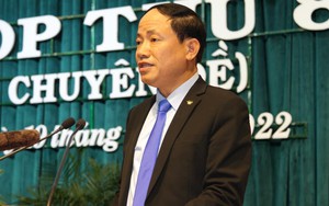 Ông Phạm Anh Tuấn được bầu làm Chủ tịch UBND tỉnh Bình Định