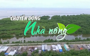 Chuyển động Nhà nông 2/9: Đỉnh lũ tháng 9 dự báo ở mức dưới báo động 1