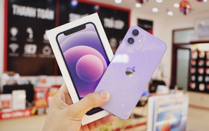 Giá iPhone 11 và iPhone 12 xuống thấp kỷ lục tại thị trường Việt