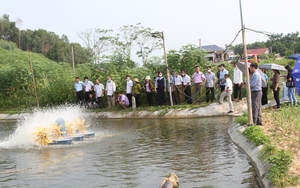 Thái Nguyên: Gần 30 hội viên nông dân tham quan, học tập kinh nghiệm chăn nuôi tại Phú Bình