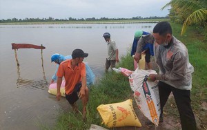 Nông dân xã này ở Kiên Giang thả vô số cá giống xuống &quot;đồng không mông quạnh&quot; để làm gì?