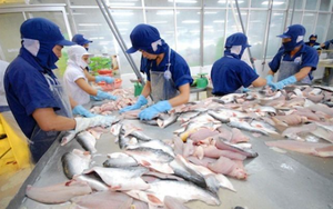 Lạm phát, Hoa Kỳ chuyển sang tăng nhập khẩu thủy sản Việt Nam vì giá rẻ