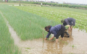 Thanh Hóa đến Quảng Trị sắp có mưa cực lớn, lại gặp không khí lạnh, chuyên gia cảnh báo điều gì?