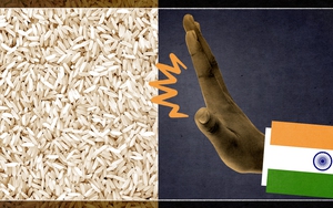 Ấn Độ cấm xuất khẩu gạo: Khủng hoảng lương thực có thể gia tăng, giá gạo sẽ tăng vọt?