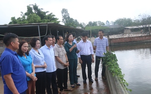 Phó Chủ tịch Hội Nông dân Việt Nam Bùi Thị Thơm ấn tượng với mô hình chi hội nghề nghiệp nuôi vịt ở Hưng Yên