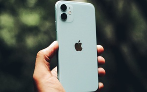 iPhone 11 giảm giá cực sâu, chỉ còn hơn 10 triệu đồng