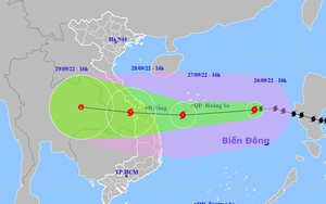 Bão số 4 tiếp tục mạnh thêm, biển động dữ dội: Còn 51 tàu thuyền/437 người đang trong vùng nguy hiểm