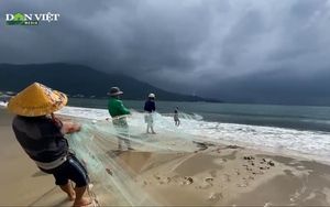 Ngư dân Đà Nẵng tranh thủ kiếm &quot;lộc biển&quot; trước khi bão Noru đổ bộ