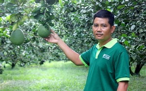 Trai làng Bình Dương &quot;liều&quot; chặt vườn cây của bố mẹ để trồng bưởi da xanh là Nông dân Việt Nam xuất sắc 2022