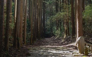 Du lịch Nhật Bản: Khám phá đường mòn Samurai cổ xưa xứ Phù Tang