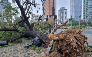 Trung tâm TP.Đà Nẵng "tan hoang" sau khi bão số 4 - Noru đổ bộ