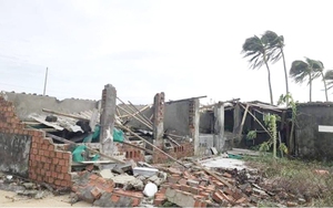 Hàng chục hec-ta hành, nhà cửa bị phá hủy trên đảo Lý Sơn sau khi bão Noru đi qua