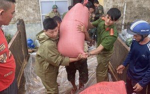 TT-Huế: Công an kịp thời “cứu” 130 tấn lúa của HTX khi nhà kho bị bão giật phăng mái 