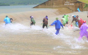 Hà Tĩnh: Người dân &quot;đánh cược mạng sống&quot; săn cá bay giữa dòng nước lũ