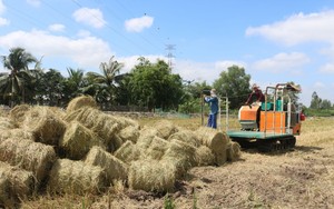 Khai thác tốt “mỏ vàng” phụ phẩm nông nghiệp, có thể thu về 4-5 tỷ USD