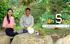 NÔNG SẢN LÊN SÀN: Ghé thăm mảnh đất Lâm Đồng thưởng thức món sầu riêng chín cây thơm ngon 