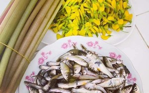 Cá linh non đầu mùa, đặc sản mùa nước nổi An Giang, sản vật trời cho