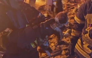 Video lính cứu hỏa Ukraine chiến đấu với 'biển' lửa cứu mèo con khỏi đám cháy