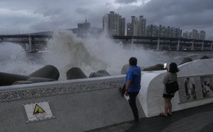 Ảnh: Bão Hinnamnor đổ bộ Hàn Quốc, mưa to như trút nước