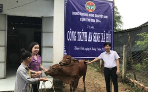 Hội Nông dân huyện Yên Phong (Bắc Ninh) trao tăng bò giống - Ảnh 3.