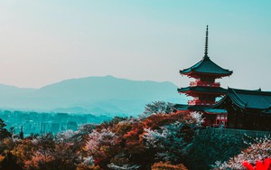 Du khách cần nắm rõ điều gì khi du lịch Nhật Bản?