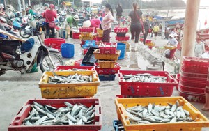 Chợ quê "nhất làng, nhất xã" ở Thừa Thiên Huế, một ngày họp tới 3 phiên, trên trời dưới cá tôm