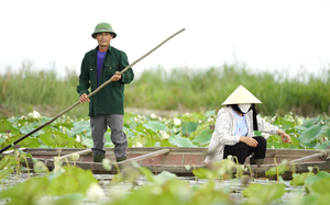 Vợ chồng ông nông dân Quảng Bình chi hàng trăm triệu đồng lập vành đai xanh để bảo vệ chim trời 